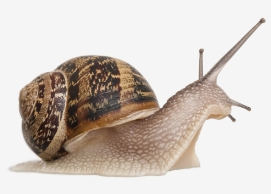 Avancer <span>à son rythme</span>