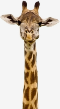 Prendre <span>de la hauteur</span>