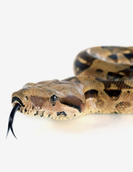 Anticiper <span>les risques</span>